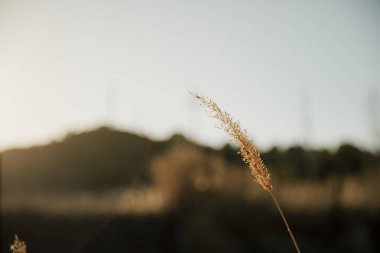 Gün batımında bir çıkıntıya yakın çekim