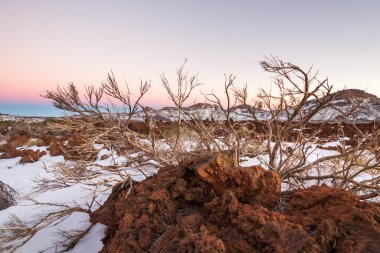 Volkanik kökenli arge kırmızı kaya, arkasında süpürge ve arka planda dağlar günbatımının kreusküler ışığında yıkandı. Las Caadas del Teide Ulusal Parkı, Tenerife, Kanarya Adaları. İspanya 