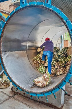 Adam fırında karides yığıyor. Buharda pişirmeye hazır.