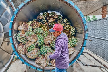 Adam fırında karides yığıyor. Buharda pişirmeye hazır.