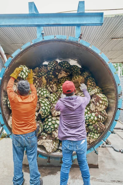 Adam fırında karides yığıyor. Buharda pişirmeye hazır.