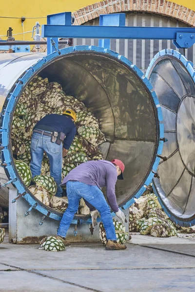 Man Piling Agave Oven Ready Steam — Stock Photo, Image