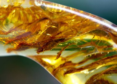 Kehribar, mineral numunesi taş jeoloji kristali