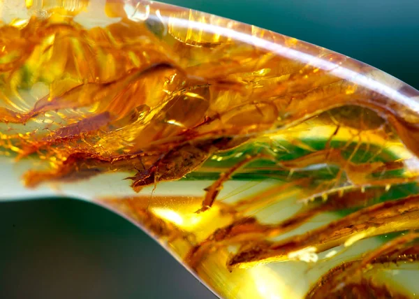 Kehribar, mineral numunesi taş jeoloji kristali