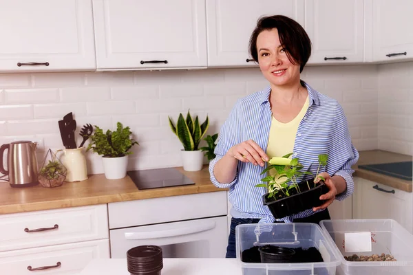 Woman Planting Plants Basic Plan — Stock Photo, Image