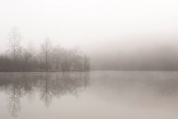 Matin Brumeux Long Eau Avec Reflet Des Arbres Bald — Photo