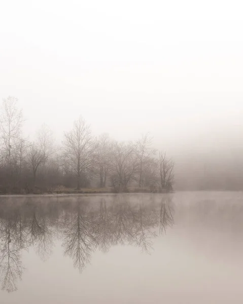 Туманное Утро Воде Отражением Деревьев Лысый — стоковое фото