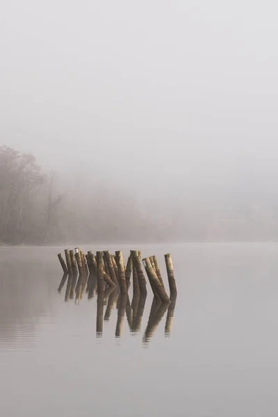 Туманное Утро Воде Столбами Торчащими Воды — стоковое фото