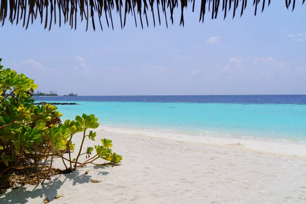 Okyanus manzarası ve kumsal manzarası..