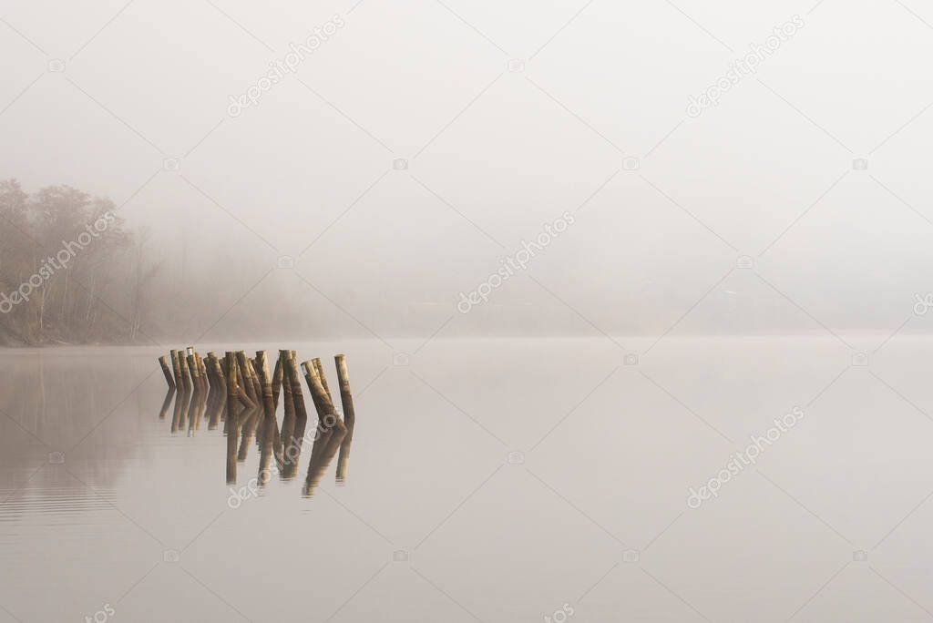 foggy morning on the water with posts sticking out of water 