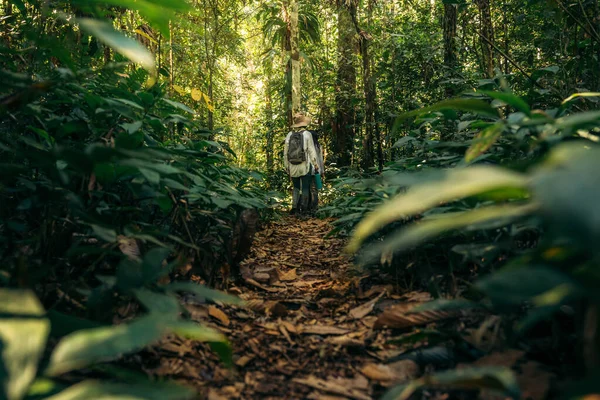 people walking across a trail  in the Tambopata rainforest