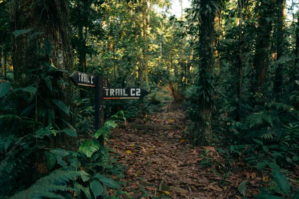 trekking roadsign in the woods with the word trail