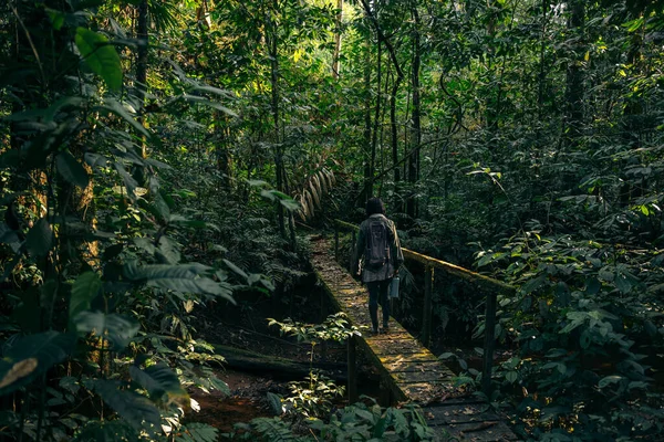 Women Crossing Bridge Middle Tropical Forest —  Fotos de Stock