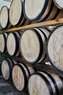 Olgunlaşmaya hazır tekila dolu meşe fıçıları.