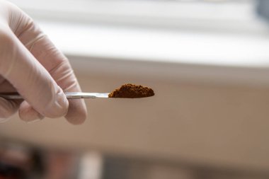 Pudralanmış Chaga mantar tozu. Çay demlemek için mantar mantarı.