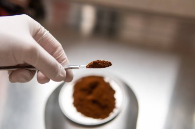 Pudralanmış Chaga mantar tozu. Çay yapmak için tıbbi mantar mantarı.