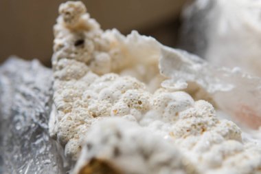 Hericium erinaceus medikal mantar nootropik. Meyve veren gövdeler