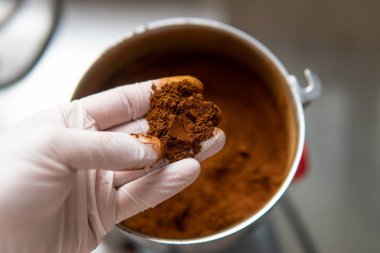 Chaga mantarı. Tıbbi mantar mantarı. Inonotus oblikus yakın plan