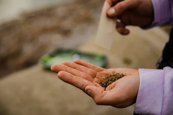 Hands Man Preparing Marijuana Cigarette Close — Stok Foto