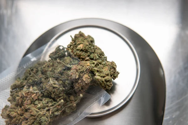 Marijuana Buds Medicinal Strains Marijuana Recreational Purposes — ストック写真