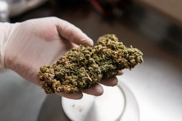 Gepresste Marihuanaknospen Auf Metallwaagen Legalisierung Des Freizeitkonsums Von Cannabis Der — Stockfoto