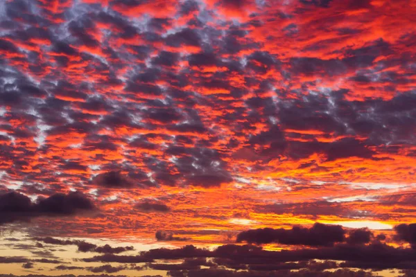 Sunset Beach Blue Sea Red Purple Gold Clouds — Stockfoto