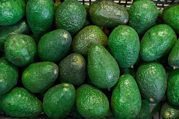 Avocados Placed Shelf Sale Market — Stockfoto