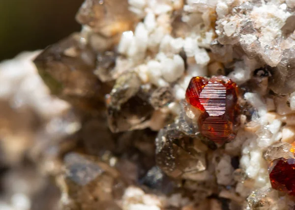 garnet  mineral specimen stone rock geology gem crystal