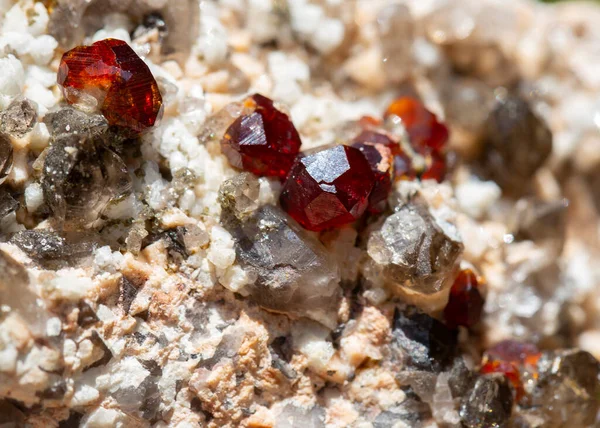 Garnet Mineral Specimen Stone Rock Geology Gem Crystal — Stock Photo, Image