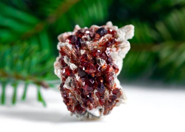 Garnet Mineral Specimen Stone Rock Geology Gem Crystal — Stock Photo, Image
