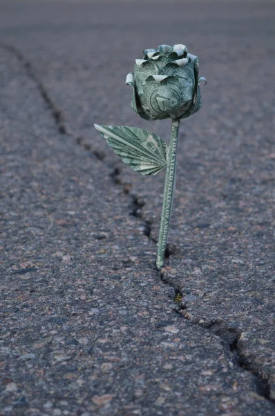 Origami Geld Plant Groeit Van Crack Straat — Stockfoto