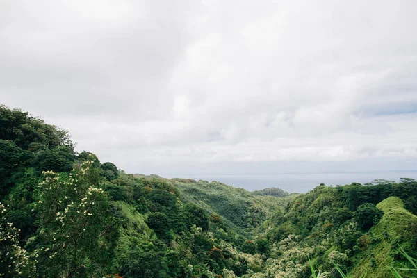 Havaí Selva Paisagem Com Oceano Pacífico Fundo — Fotografia de Stock