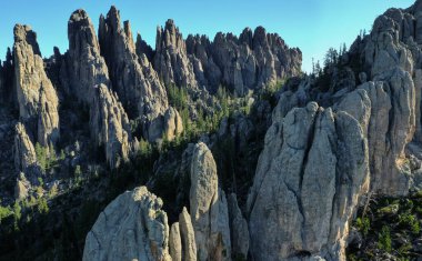 Kara Tepeler, Custer Eyalet Parkı, Güney Dakota 'nın Needles bölgesinde yemyeşil bir ormanda yığınla kule var..