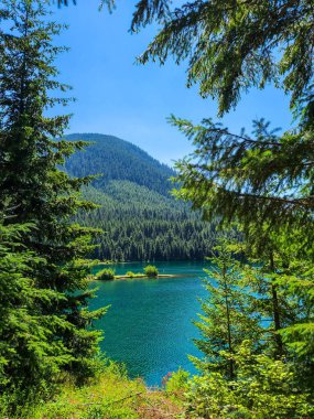 ADA erişilebilir yoldayken Gold Creek Gölü 'ne bakıyorum.