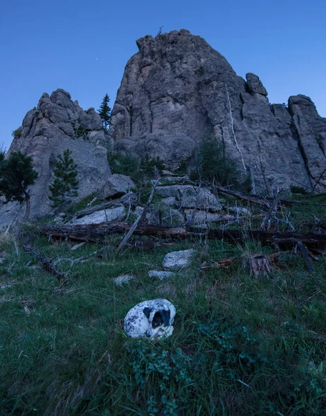 Long Night Hiking Dog Takes Nap Amidst Epic Spires South — Stok Foto