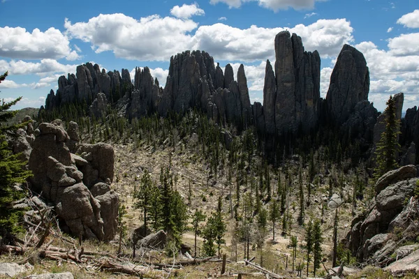 Dramatic Spires Forests Black Hills Custer State — Stock Photo, Image