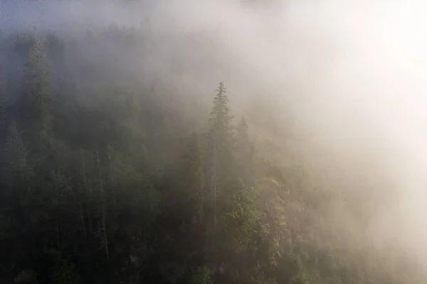 Flying Drone Beautiful Misty Mountains Central Washington Enroute Leavenworth — Foto de Stock