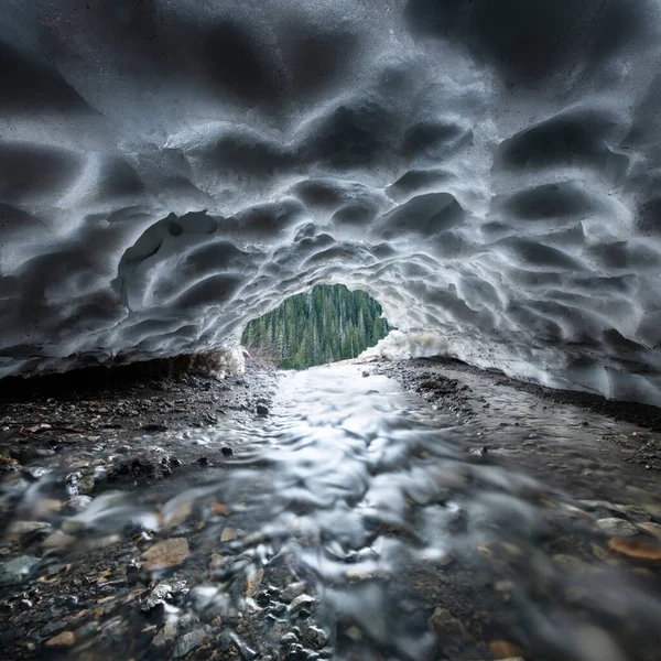 Small Stream Cuts Cave Ice Mountains Baker — Stock fotografie