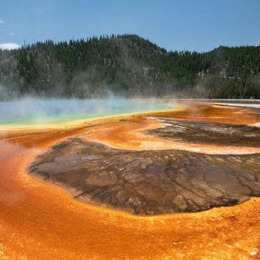 Turuncu termofiller, parlak mavi bir yeşil havuza karşı birleşerek Yellowstone Ulusal Parkı 'nda jeotermal aktivite tarafından boyanmış çarpıcı bir renk örneği oluştururlar..