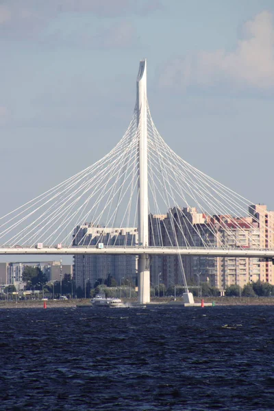 Ponte Cabo Contra Pano Fundo Edifícios Residenciais Urbanos Nas Margens — Fotografia de Stock