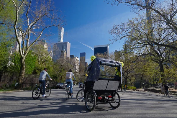 Horse Carriage Central Park — Stock Photo, Image