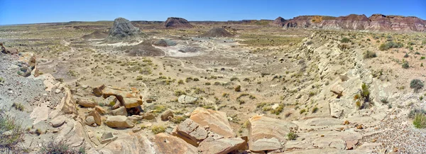Martha Valley Viewed South Side Martha Butte Petrified Forest National — Foto de Stock