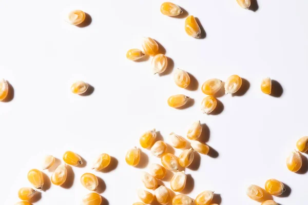 Popcorn Kernels Scattered White — Stockfoto