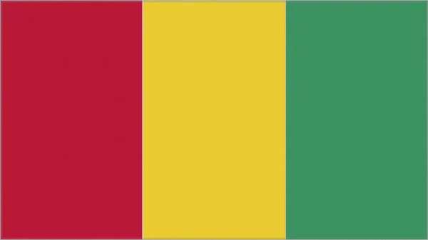 Guinea Hímzési Zászló Guineai Emblémával Varrott Szövet Hímzett Címer Ország — Stock Fotó
