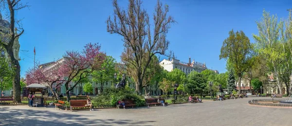 Odessa Ukraina 2022 Miejski Ogród Odessie Podczas Wojny Ukrainie Słoneczny — Zdjęcie stockowe