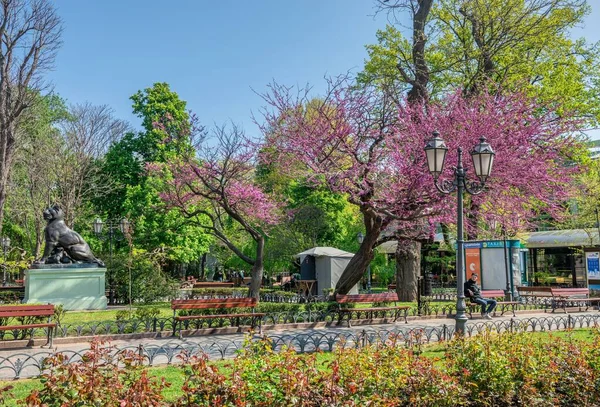 Odessa Oekraïne 2022 Stadstuin Odessa Tijdens Oorlog Oekraïne Een Zonnige — Stockfoto