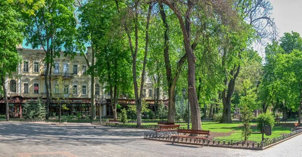 Odessa Ukrajna 2022 Városi Kert Odessa Alatt Háború Ukrajnában Egy — Stock Fotó