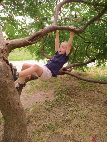 Küçük Çocuk Ağaca Tırmanıyor — Stok fotoğraf