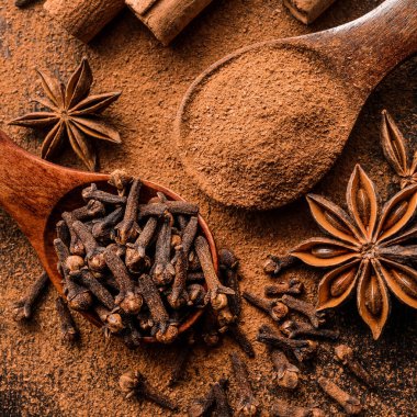 Aromatik Noel baharatları - tarçın, anason ve karanfil