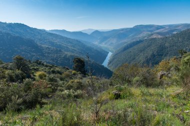 Dağlı ve bulutlu manzara
